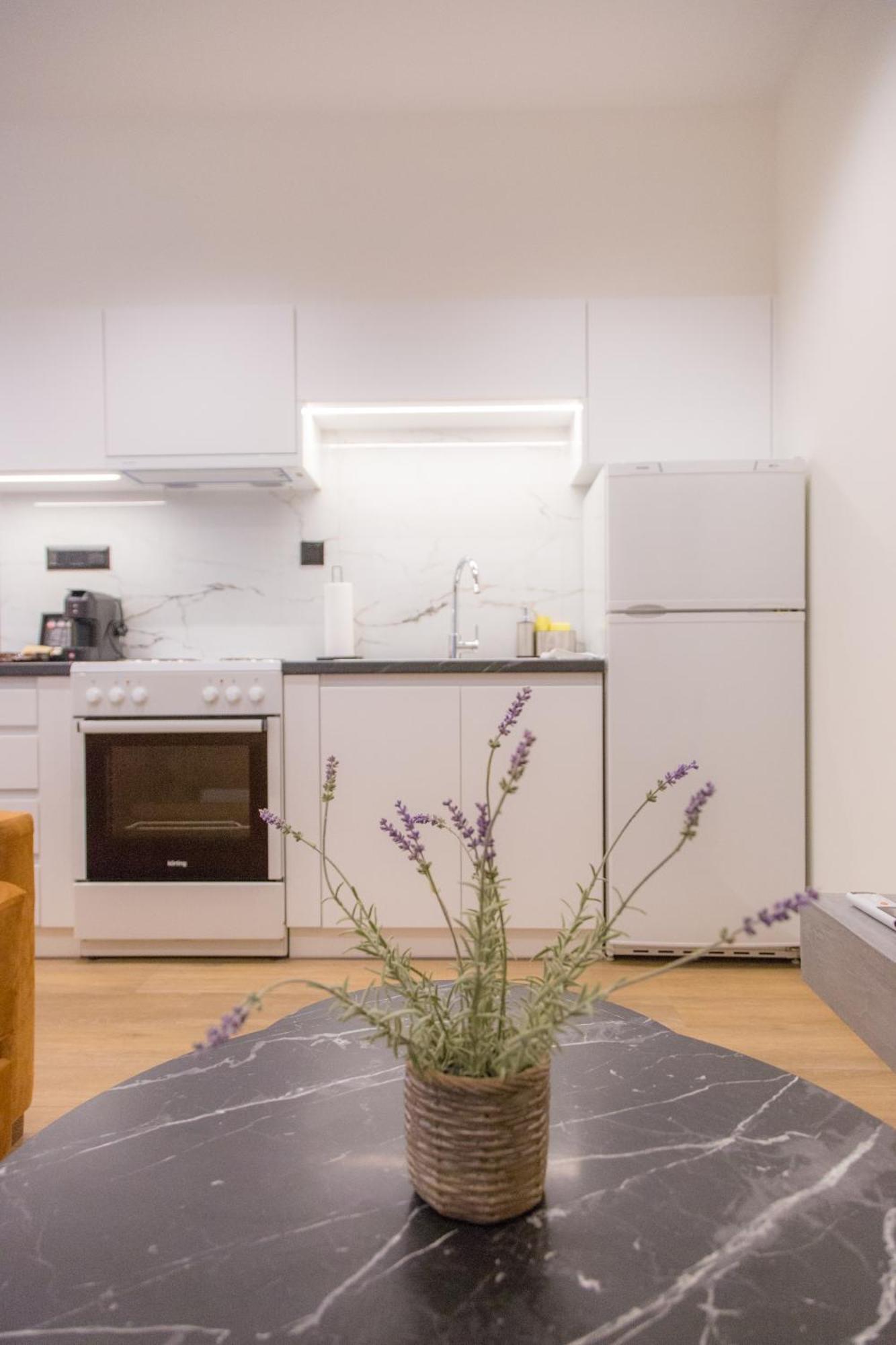 Anasa Studio - Studio Apartment With Yard - Ioannina City Center Zewnętrze zdjęcie